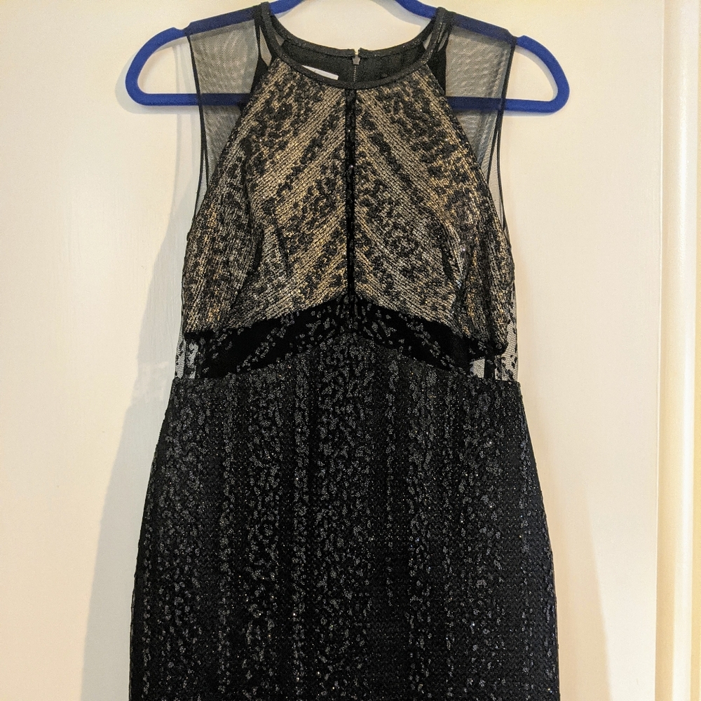Phoebe gold and black dress